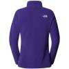  the north face 100 Glacier 1/4 Zip