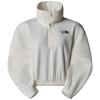 the north face  Glacier 100 Half Zip Fleece W QLI