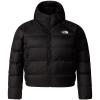 the north face  W PLUS HYALITE HOODIE Tnf Black-Npf