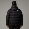 the north face  W PLUS HYALITE HOODIE Tnf Black-Npf