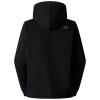  the north face Drew Peak Pullover Hoodie