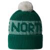  the north face RETRO CABIN BEANIE Muted Pine/Pale Green 84O