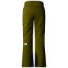  the north face Lenado Pant W