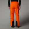  the north face Chakal Pant