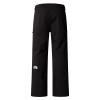  the north face Chakal Pant
