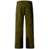  the north face Chakal Pant