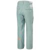 helly hansen Pants SOGN CARGO PANT Cactus