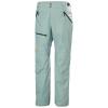  helly hansen Sogn Cargo Pant CACTUS