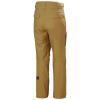 helly hansen Pants SOGN CARGO PANT