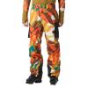 Pantalone helly hansen ULLR D PANT Jpb Aop