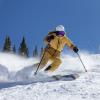  helly hansen Alphelia Jacket W