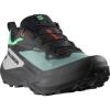 Wandelschoenen salomon Genesis GTX