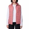  columbia Powder Lite II Vest