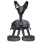  singingrock Expert 3D Standard .