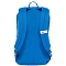  the north face Rodey