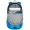  the north face Rodey