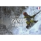  ed. charles perrin Escalades Givrées Aux Pyrénées