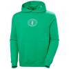 Sweatshirt helly hansen CORE GRAPHIC SWEAT HOODIE Red BRIGHT GRE