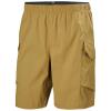  helly hansen Vista Hike Cargo Shorts LYNX