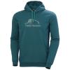  helly hansen Nord Graphic Pullover Hoodie DARK CREEK