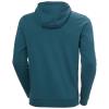 Pulóver helly hansen F2F ORGANIC COTTON HOODIE 2.0 Dark Creek