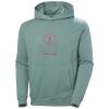 Sweatshirt helly hansen CORE GRAPHIC SWEAT HOODIE Red CACTUS