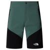  the north face M Felik Slim Taper Short