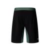  the north face M Felik Slim Taper Short