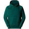 the north face  M RAGLAN REDBOX HOODIE Earthen Copper A1B