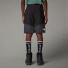 the north face  TEEN HIKE SHORT TNF Black/Asphalt Grey