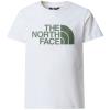  the north face B S/S EASY TEE TNF White/Duck Green