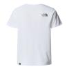 the north face B S/S EASY TEE TNF White/Duck Green