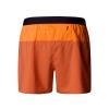  the north face Breeze Short 5In