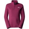 the north face 100 Glacier 1/4 Zip 6EO