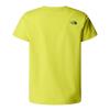  the north face B GRAPHIC RELAXED S/S TEE Sulphur Spring