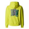 the north face B GRAPHIC RELAXED HO Sulphur Spring Gree