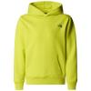  the north face B GRAPHIC RELAXED HO Sulphur Spring Gree