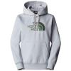  the north face Drew Peak Pullover Hoodie B4T