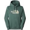  the north face Drew Peak Pullover Hoodie B4W