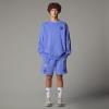  the north face Mountain Cleanup Relaxed Short