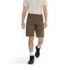  arc'teryx Gamma SL Short 11"