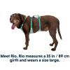  ruffwear Flagine