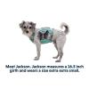  ruffwear Swamp Cooler