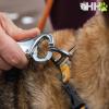  ruffwear Correa Elástica Roamer