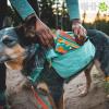  ruffwear Front Range
