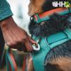  ruffwear Front Range
