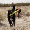  ruffwear Palo gnawt-a-stick green