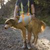  ruffwear Kit evacuacion backtrak gray