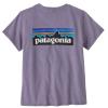  patagonia P-6 Logo Respon-Tee W	 CNPL