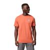 columbia  Hageman Graphic Tee 851